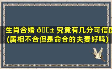 生肖合婚 🐱 究竟有几分可信度(属相不合但是命合的夫妻好吗)